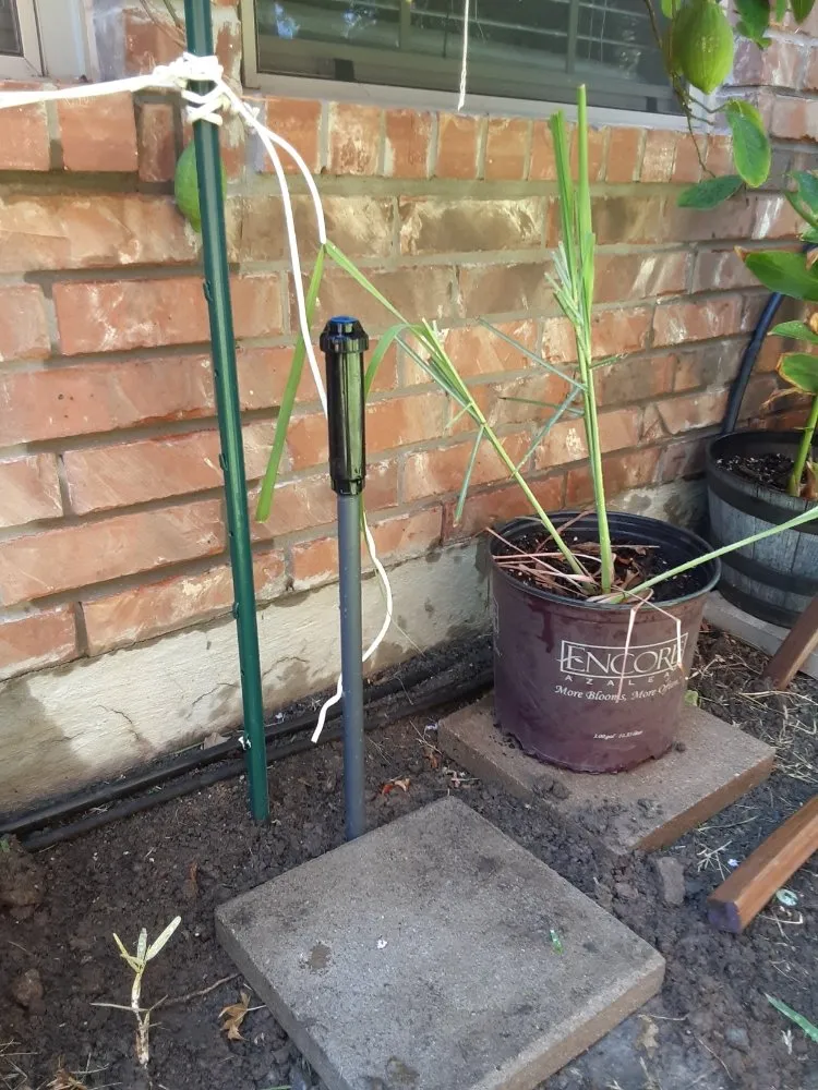 Expert residential landscaping in Wylie, TX by The Whole 9 Irrigation and Landscaping