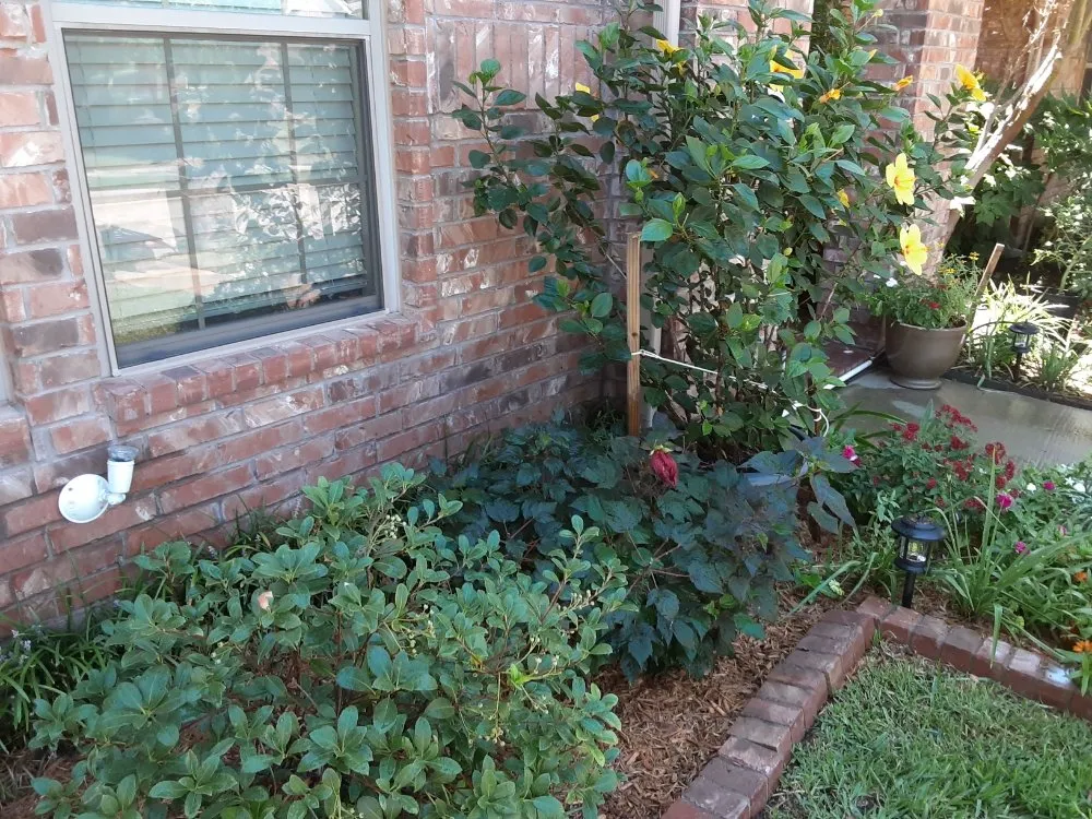 Professional lawn mowing service in Wylie, TX - The Whole 9 Irrigation and Landscaping