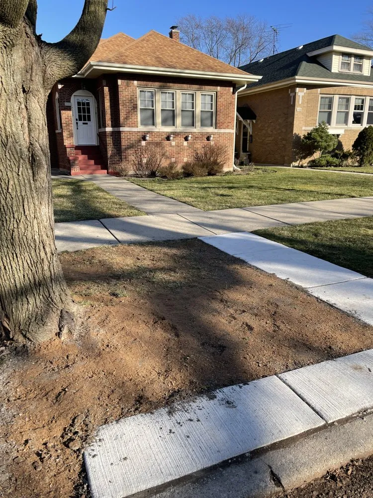 Professional landscape installation in Arlington Heights, IL by The Whole 9 Landscape