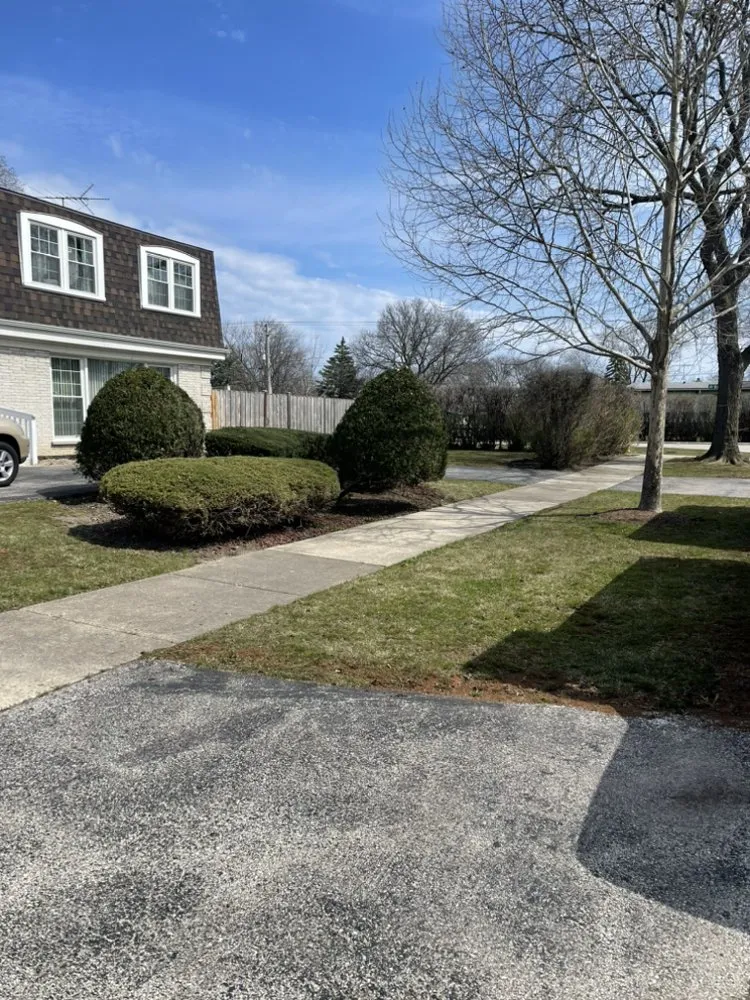 Custom yard cleanup service for beautiful yards across Arlington Heights, IL - The Whole 9 Landscape