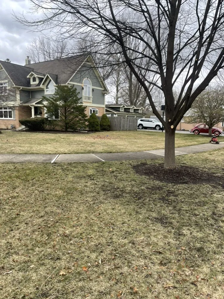 Reliable residential landscaping experts serving Arlington Heights, IL - The Whole 9 Landscape