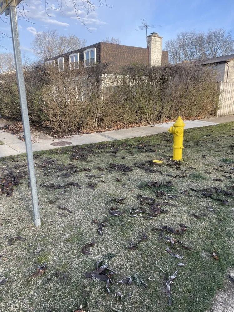 Top-rated landscape design for outdoor upgrades across Arlington Heights, IL - The Whole 9 Landscape