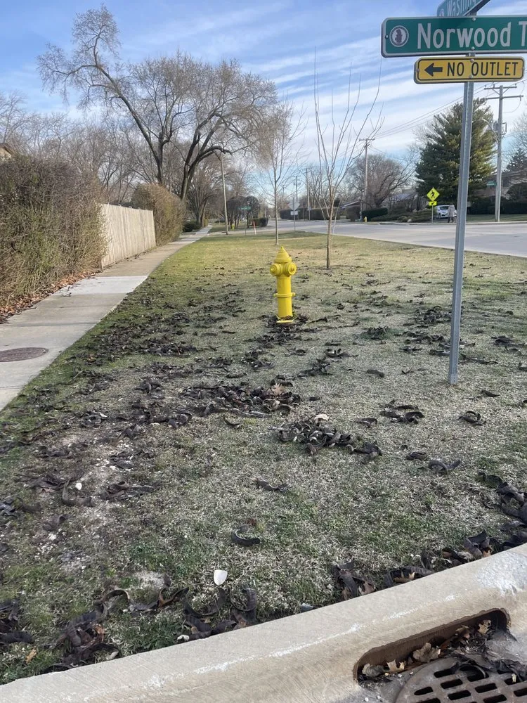 Trusted landscape design in Arlington Heights, IL by The Whole 9 Landscape