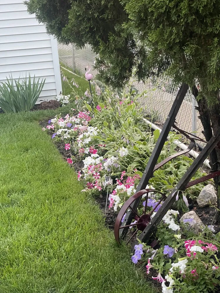 Top-rated yard maintenance in Arlington Heights, IL by The Whole 9 Landscape