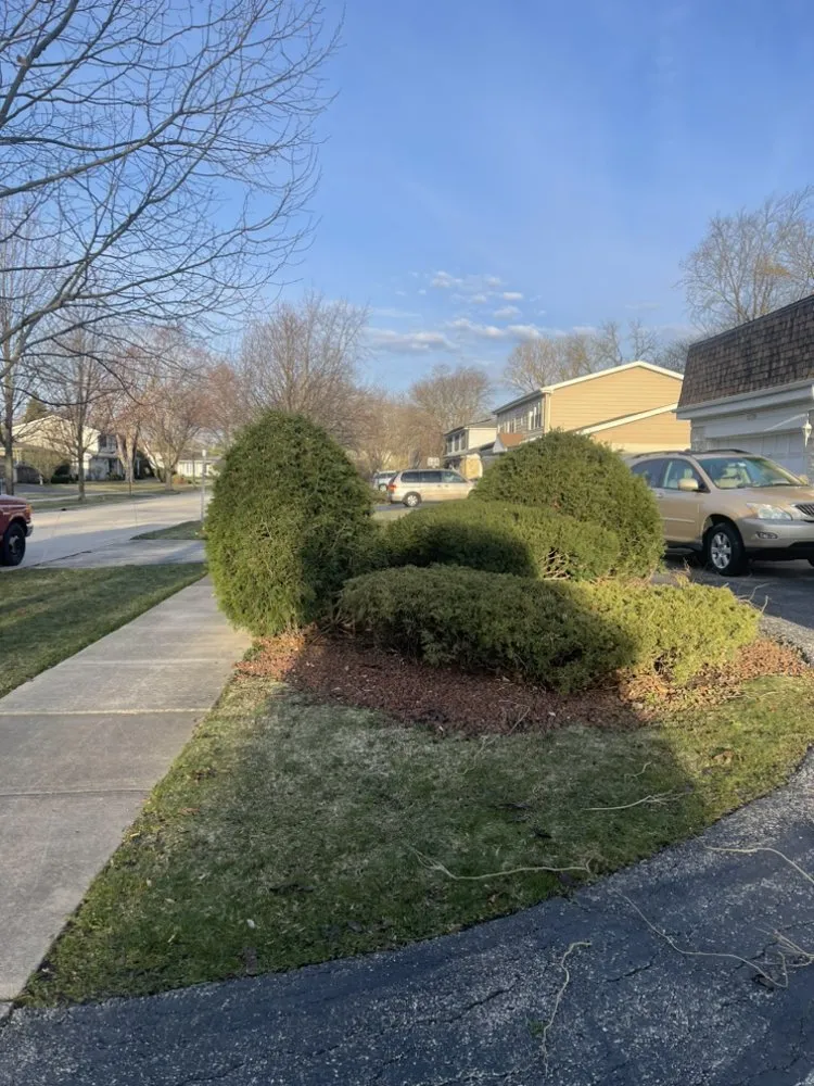 Top-rated landscape installation experts serving Arlington Heights, IL - The Whole 9 Landscape