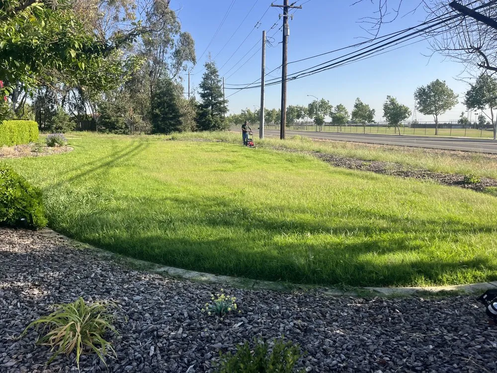 Trusted yard maintenance for year-round maintenance across Merced, CA - The Whole 9 Yards Handyman And Landscaping Service