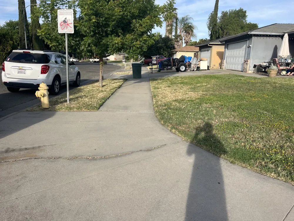 Professional yard cleanup service in Merced, CA - The Whole 9 Yards Handyman And Landscaping Service