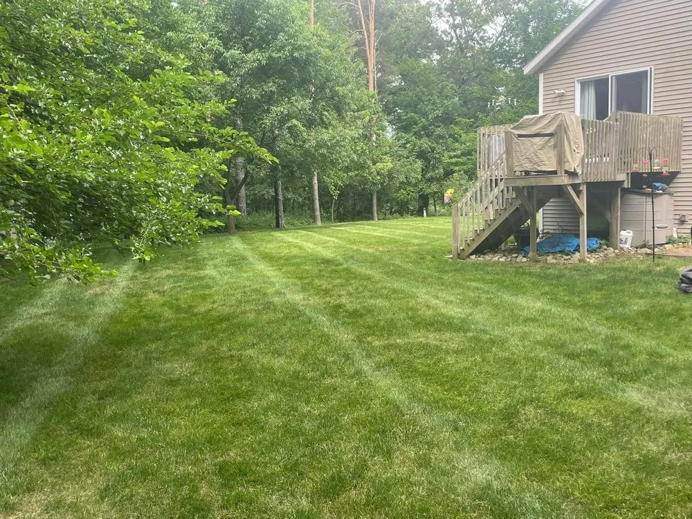 Expert lawn mowing service in Merced, CA - The Whole 9 Yards Handyman And Landscaping Service