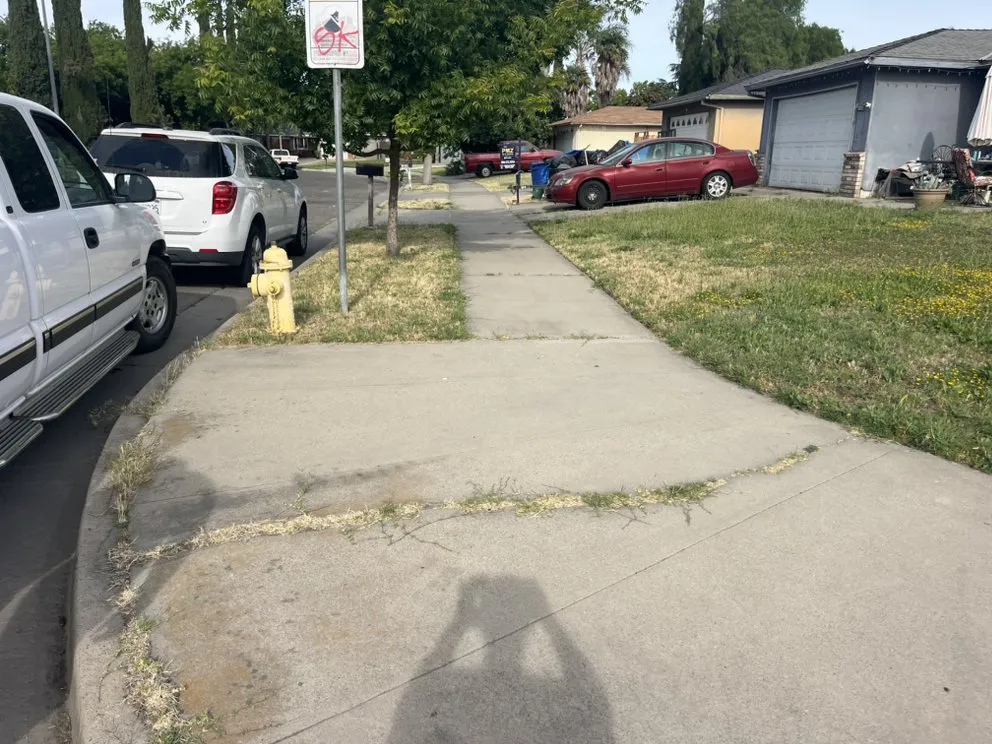 Professional landscaping services for year-round maintenance across Merced, CA - The Whole 9 Yards Handyman And Landscaping Service