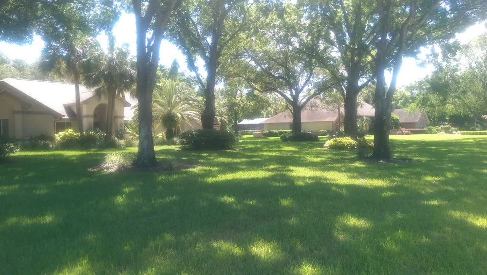 Custom outdoor landscaping experts serving Valrico, FL - The Whole 9 Yards Lawn & Landscaping