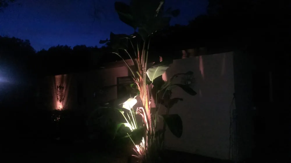 Trusted outdoor landscaping with custom design in Valrico, FL by The Whole 9 Yards Lawn & Landscaping