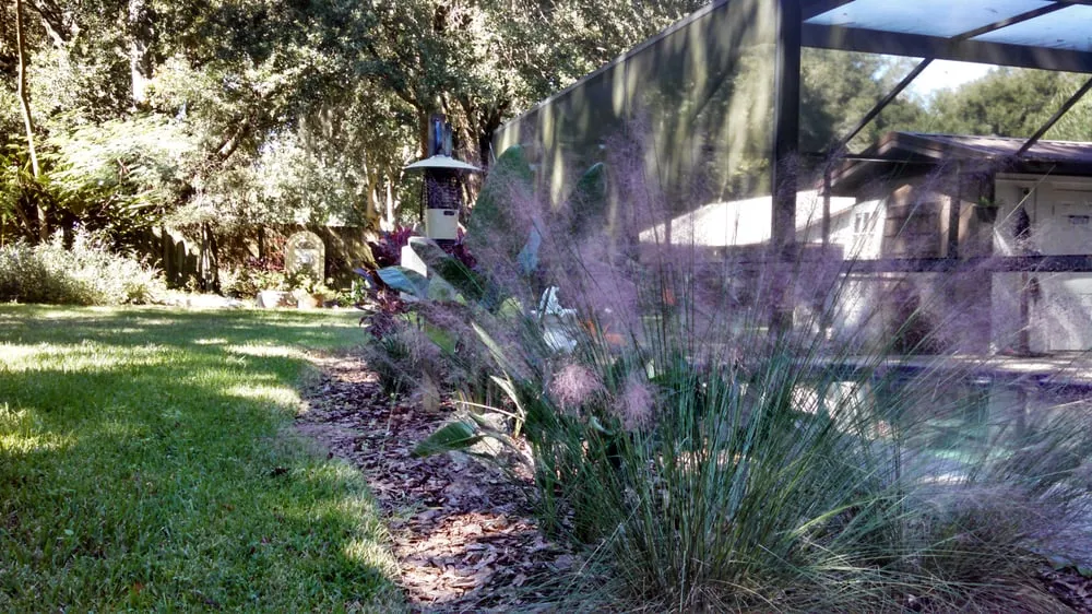 Professional lawn care service for beautiful yards across Valrico, FL - The Whole 9 Yards Lawn & Landscaping