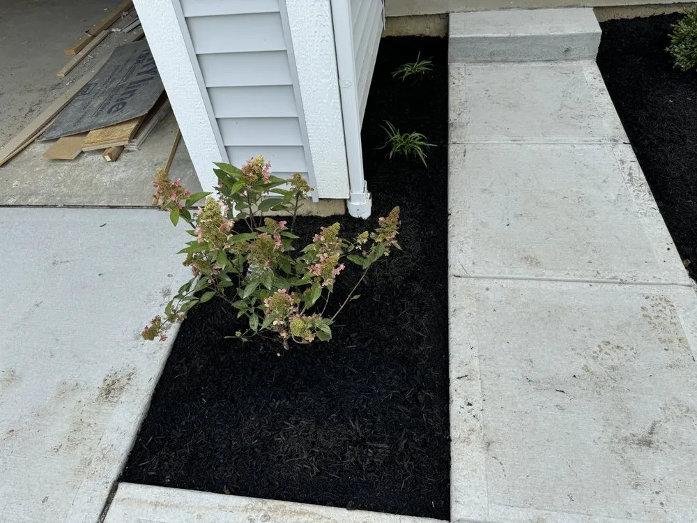 Affordable lawn mowing service in Loveland, OH by The Whole 9 Yards