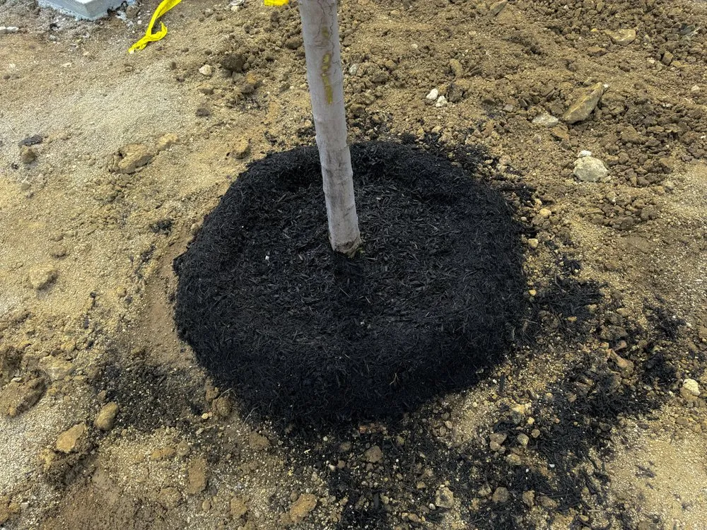 Trusted garden landscaping for homes across Loveland, OH - The Whole 9 Yards