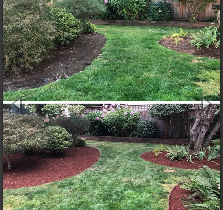 Trusted yard maintenance in Little Rock, AR by The Whole Nine Yard Service