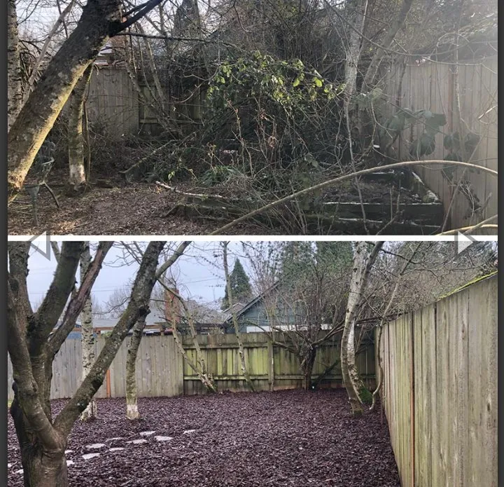 Expert landscape installation for year-round maintenance in Little Rock, AR by The Whole Nine Yard Service