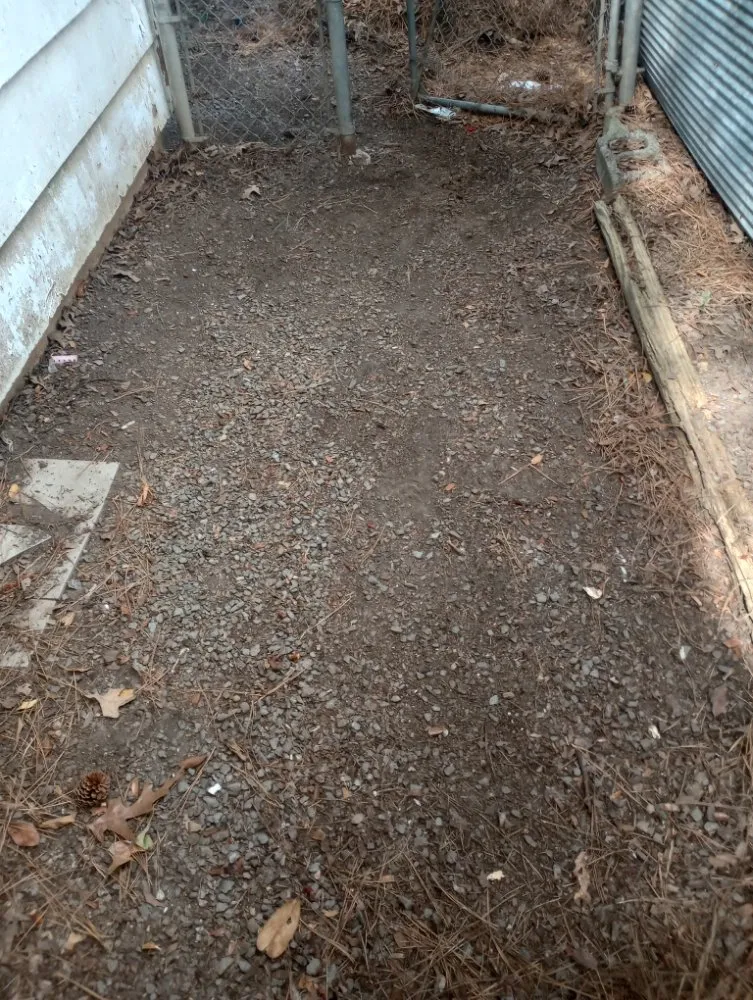 Affordable lawn care service in Little Rock, AR - The Whole Nine Yard Service