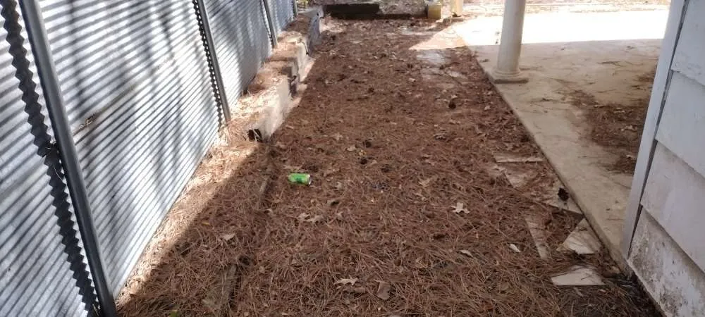 Trusted lawn care service for year-round maintenance in Little Rock, AR by The Whole Nine Yard Service