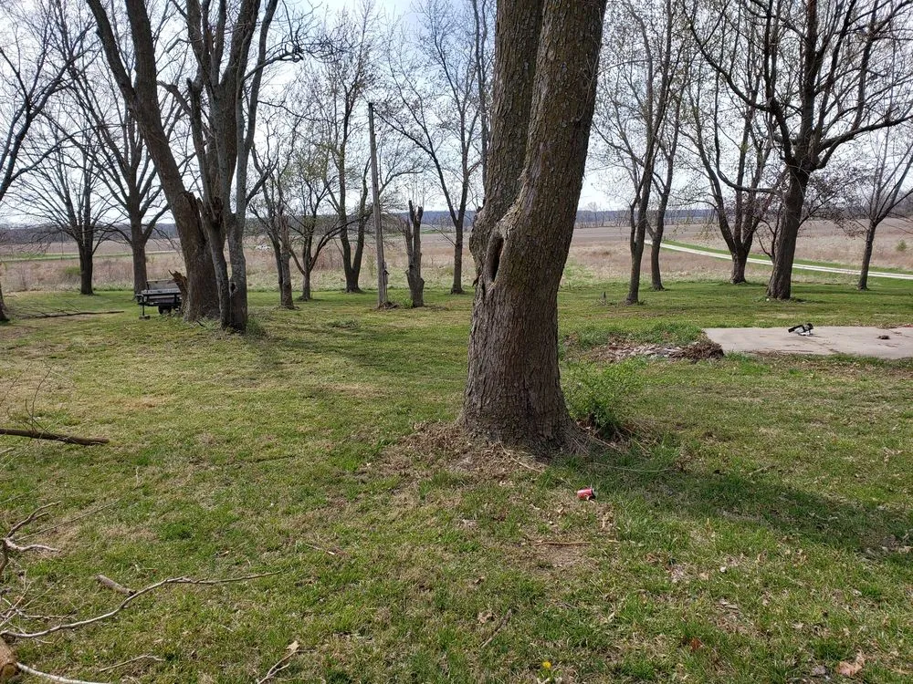 Custom yard cleanup service for homes across Ottawa, KS - The Whole Nine Yards