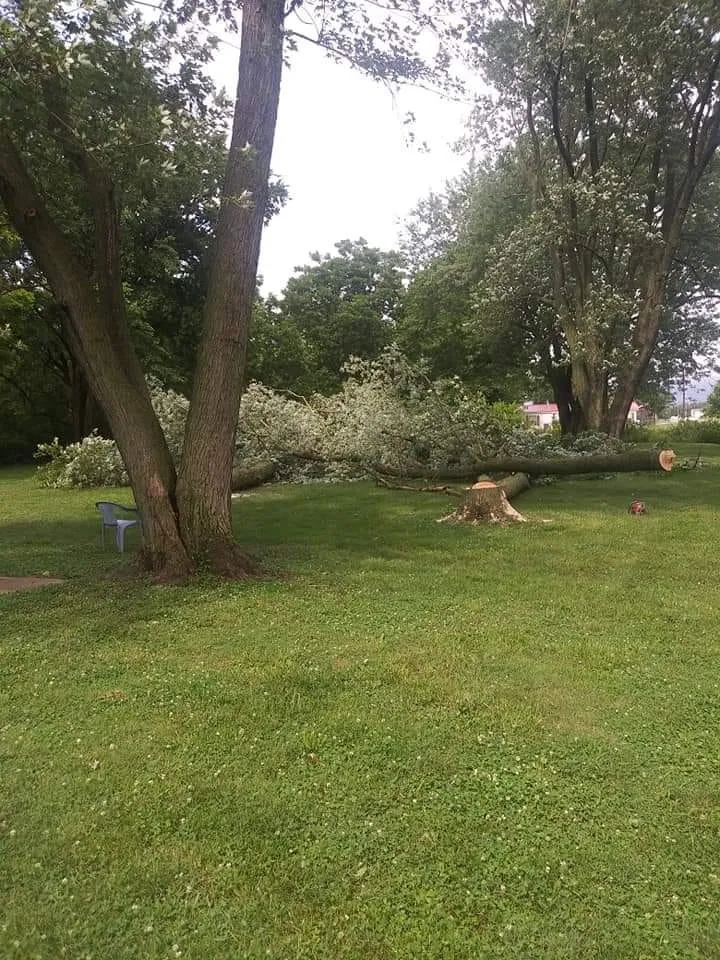 Professional landscape installation for homes across Granite City, IL - The Winters Way Outdoor Services