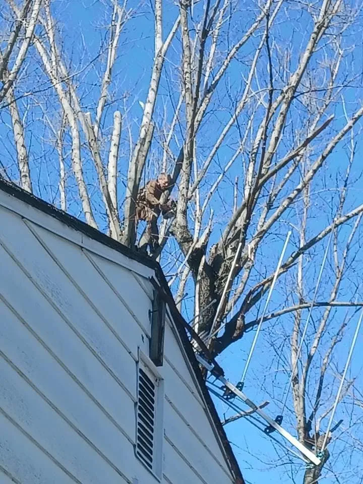 Trusted garden landscaping in Granite City, IL by The Winters Way Outdoor Services