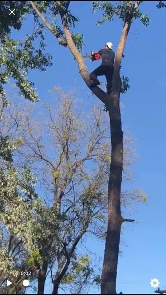 Expert yard maintenance for homes across Granite City, IL - The Winters Way Outdoor Services