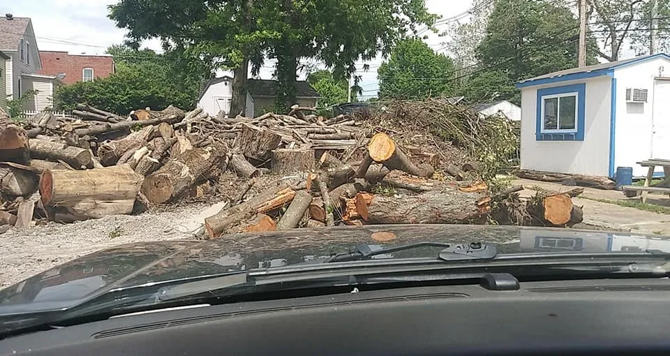 Professional lawn care service experts serving Granite City, IL - The Winters Way Outdoor Services