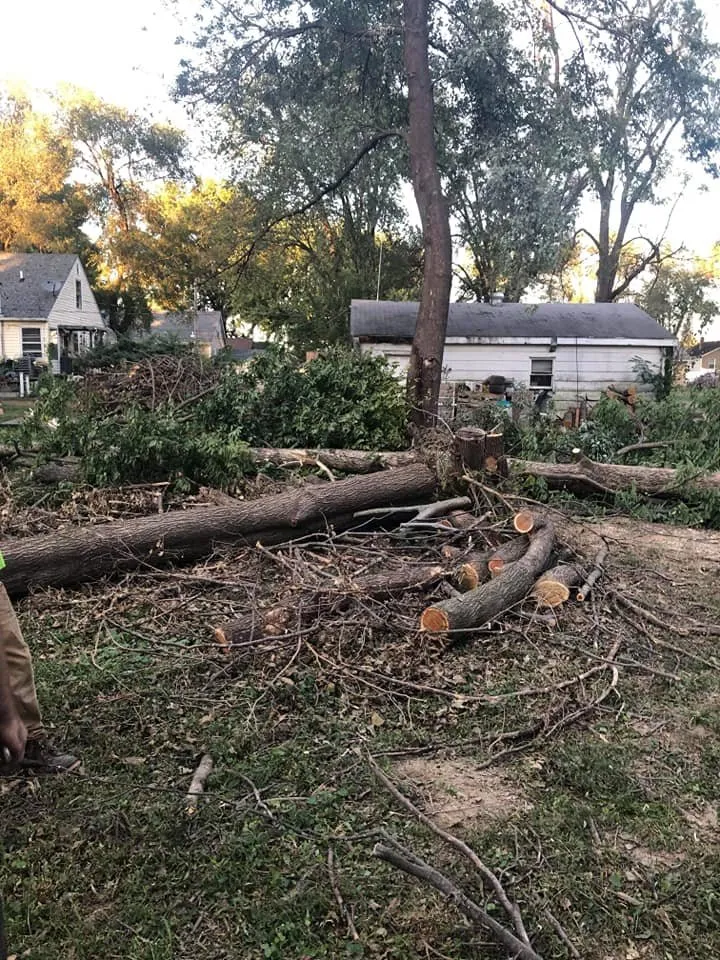 Top-rated landscaping services for year-round maintenance across Granite City, IL - The Winters Way Outdoor Services