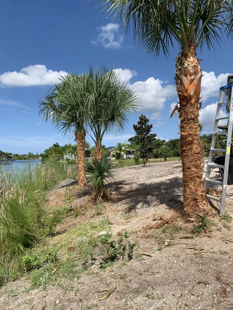 Trusted residential landscaping for homes across Port Charlotte, FL - The Wizard of Lawns