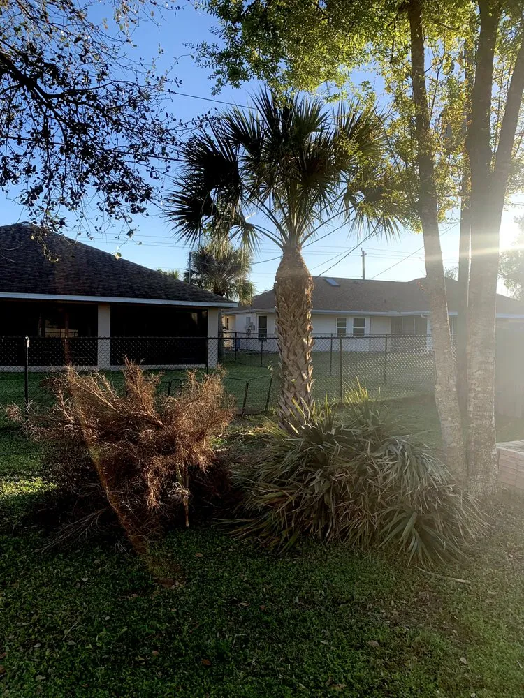 Custom yard cleanup service with custom design across Port Charlotte, FL - The Wizard of Lawns