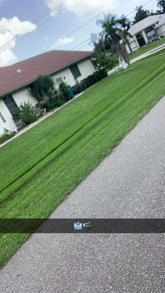 Expert landscape installation for beautiful yards across Port Charlotte, FL - The Wizard of Lawns
