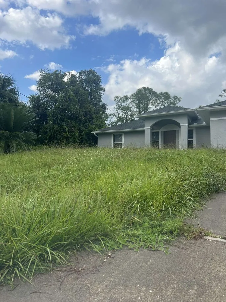 Local landscape design in Port Charlotte, FL - The Wizard of Lawns