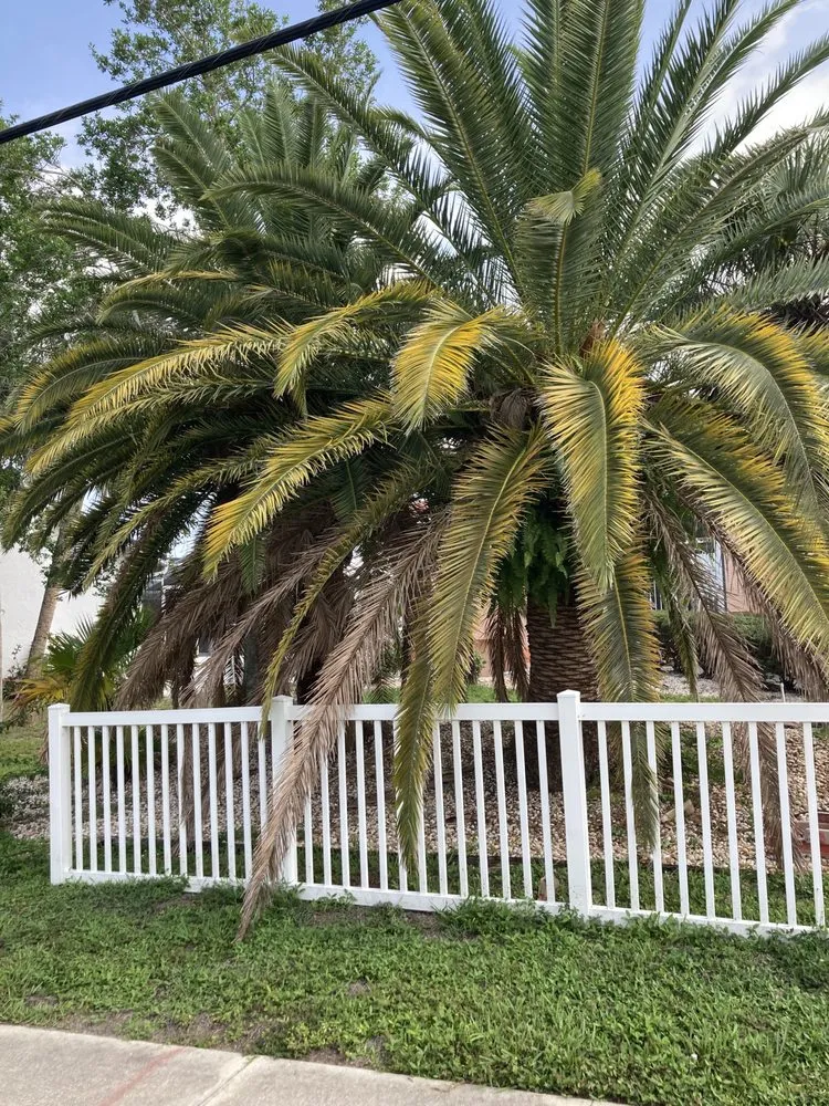 Affordable lawn care service for residential properties in Port Charlotte, FL by The Wizard of Lawns