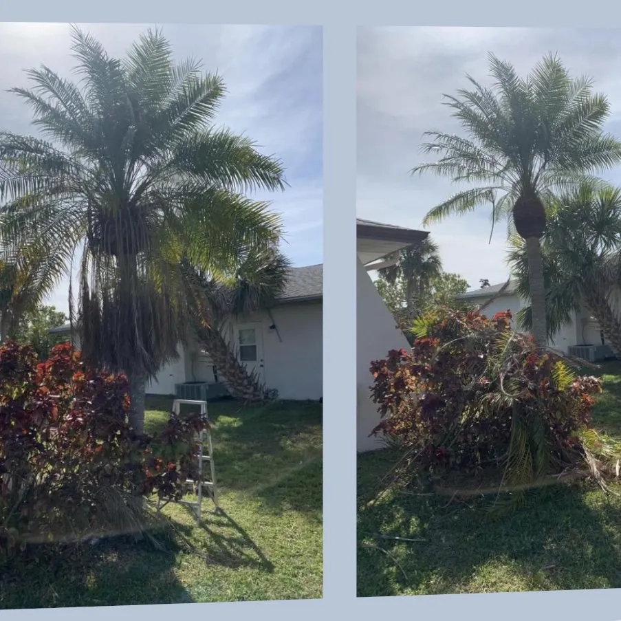 Expert lawn mowing service with custom design in Port Charlotte, FL by The Wizard of Lawns