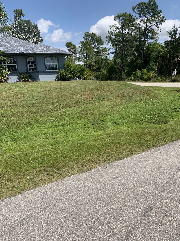 Top-rated landscape installation in Port Charlotte, FL - The Wizard of Lawns