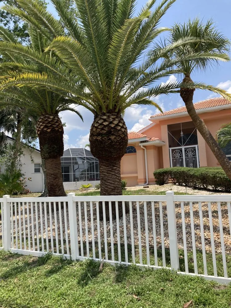 Professional residential landscaping in Port Charlotte, FL by The Wizard of Lawns