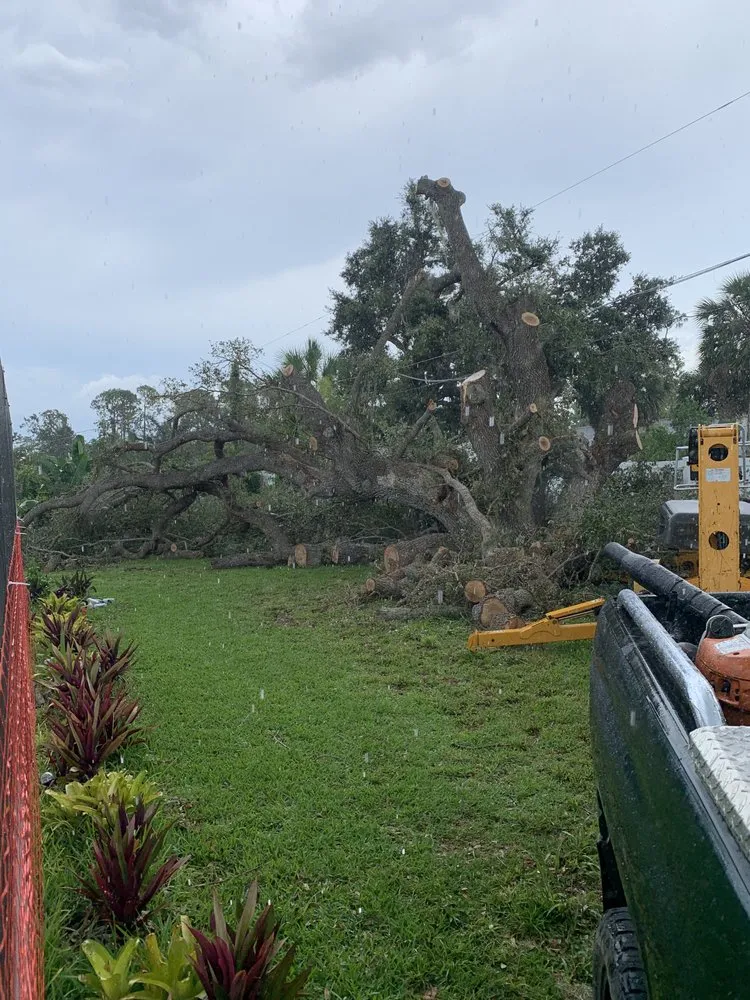 Affordable garden landscaping for homes in Port Charlotte, FL by The Wizard of Lawns