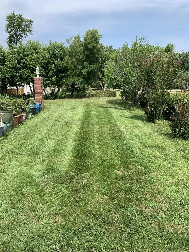 Custom landscape design experts serving Waynesville, MO - The Wizard of Lawns