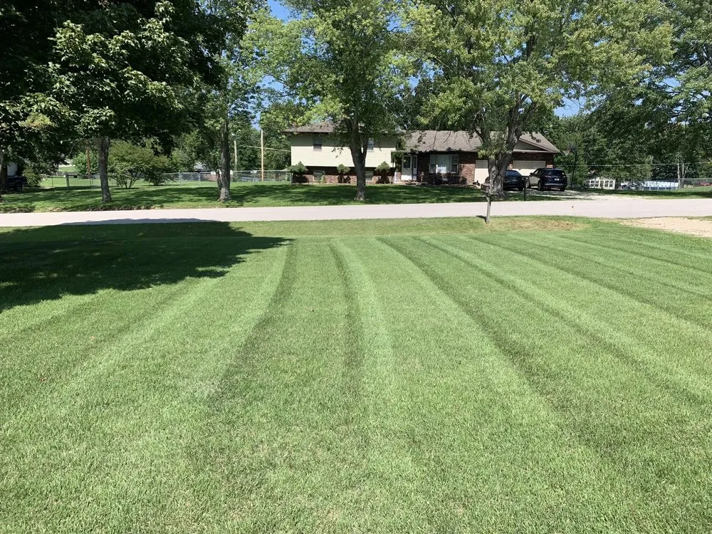 Professional yard cleanup service experts serving Waynesville, MO - The Wizard of Lawns
