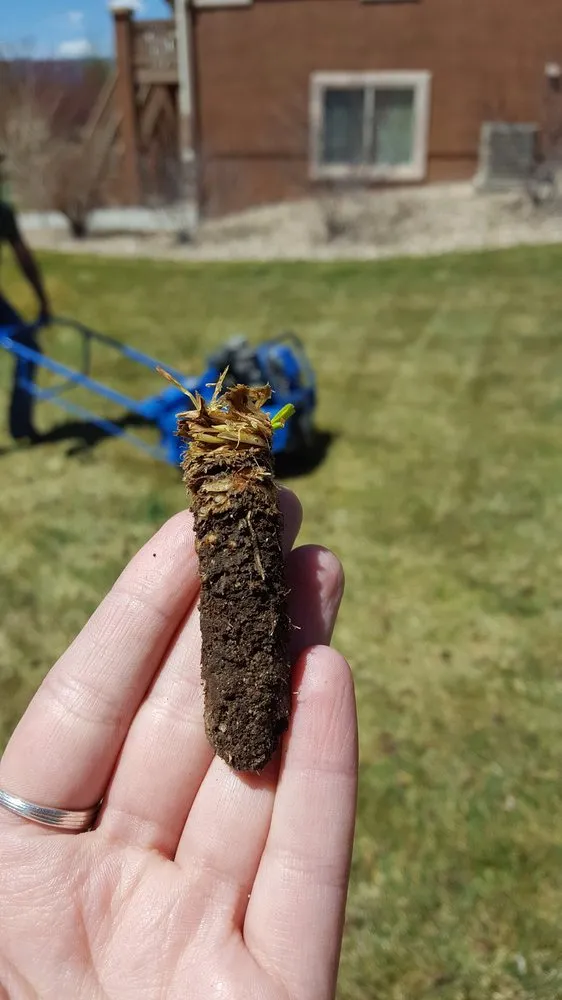 Top-rated landscaping services in Waynesville, MO by The Wizard of Lawns