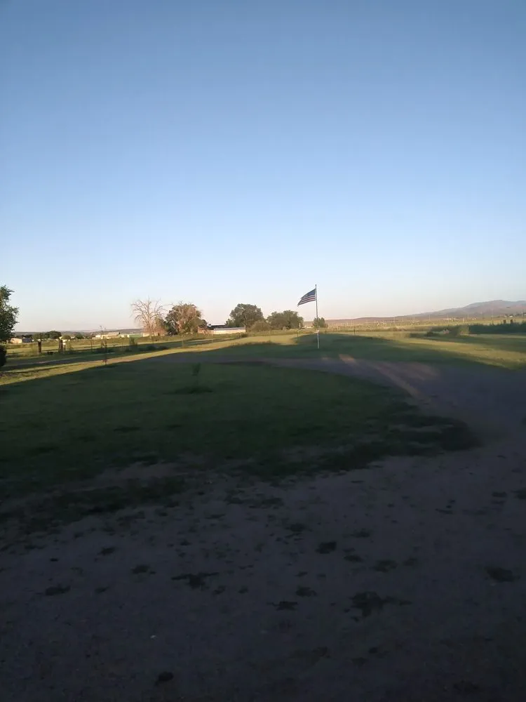 Expert lawn care service experts serving Prescott Valley, AZ - The Woman Worx