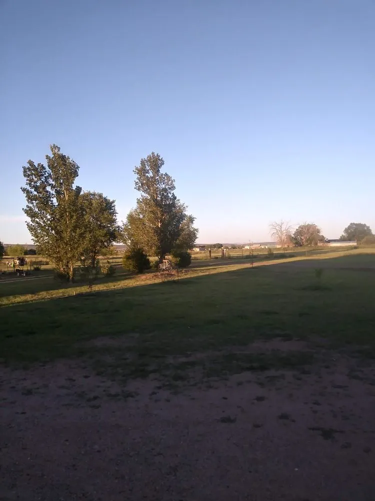 Local outdoor landscaping near you across Prescott Valley, AZ - The Woman Worx