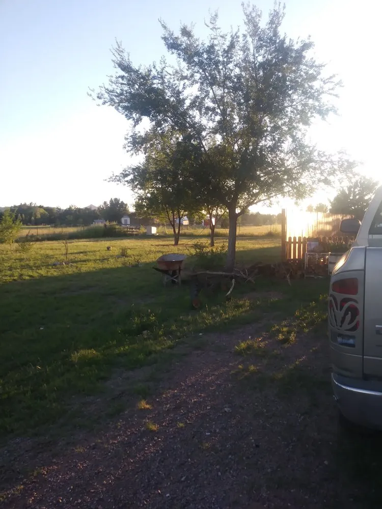 Reliable lawn mowing service in Prescott Valley, AZ - The Woman Worx