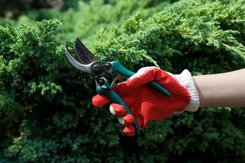 Reliable lawn care service for year-round maintenance in Paragould, AR by The Wood Man's Tree Service & Lawn Care