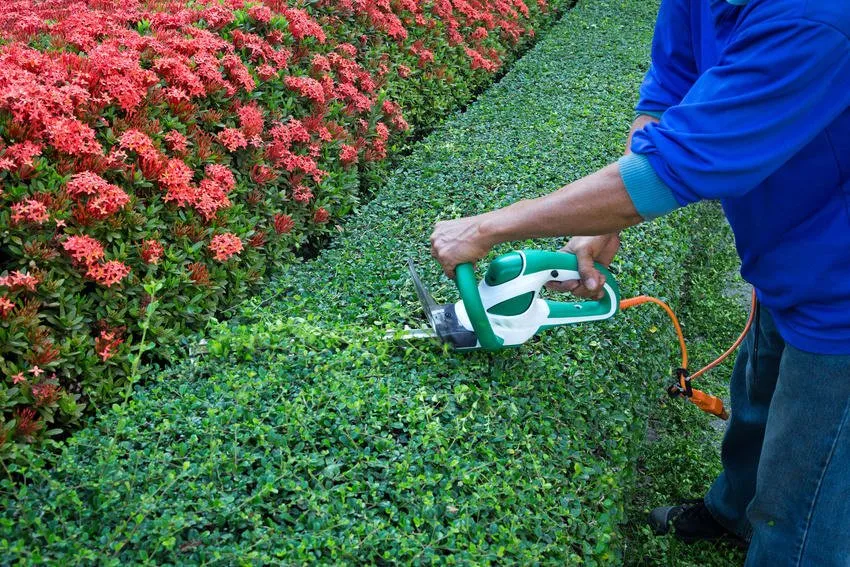 Reliable lawn mowing service in Paragould, AR by The Wood Man's Tree Service & Lawn Care