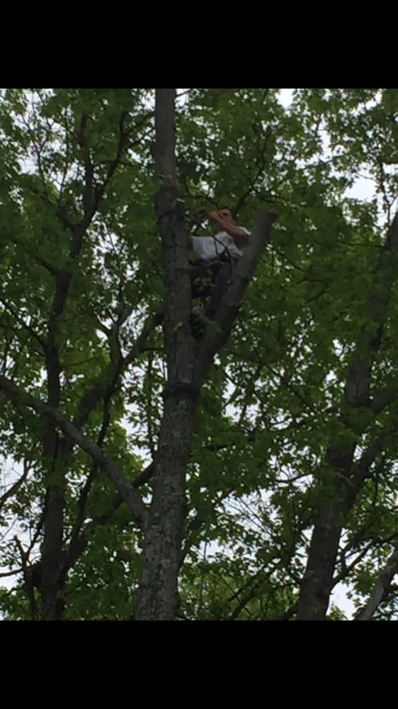 Trusted landscaping services in Newburgh, NY - The Wood Shop Tree Service