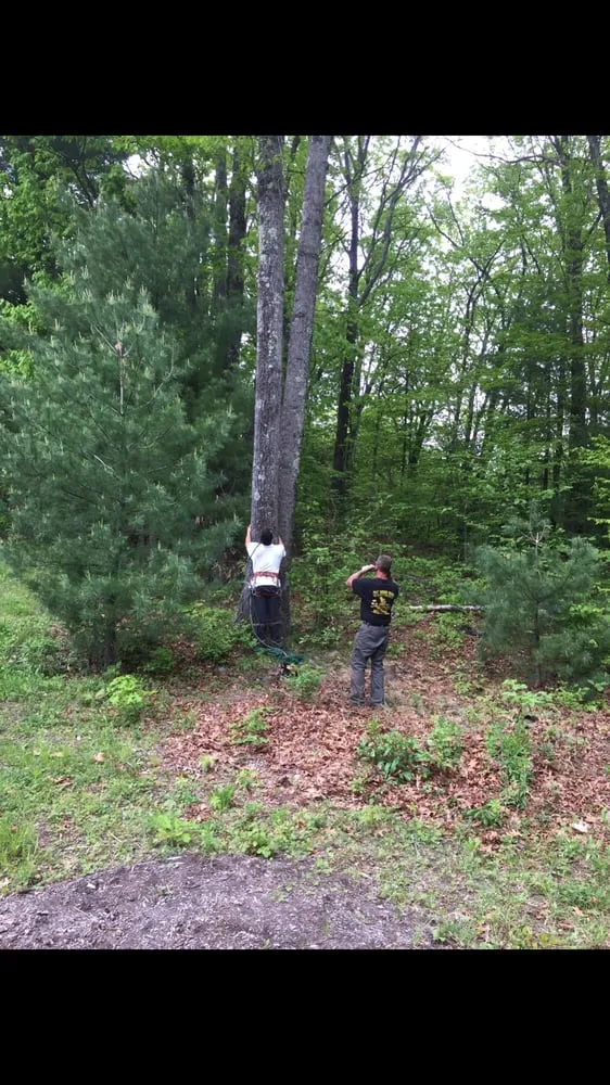 Affordable landscape installation in Newburgh, NY by The Wood Shop Tree Service