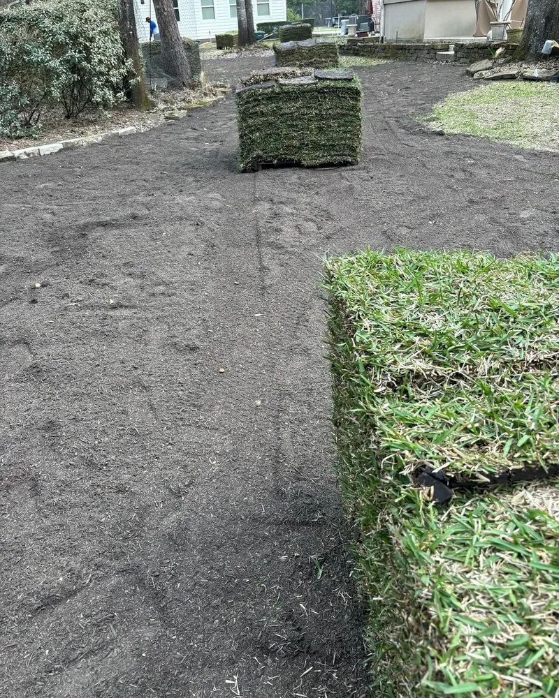 Reliable yard cleanup service with custom design across Tomball, TX - The Woodlands Custom Landscaping