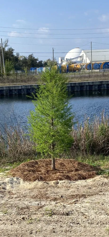 Top-rated landscape installation experts serving Panama City, FL - The Working Man’s Property Maintenance Services