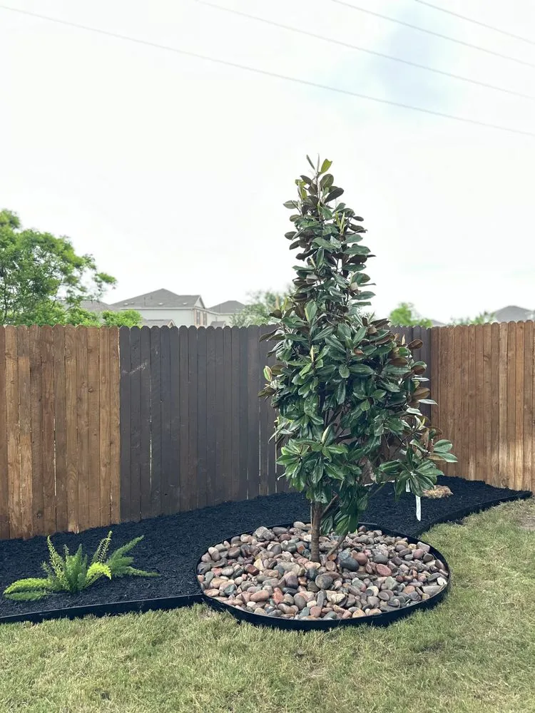 Local yard cleanup service in Round Rock, TX by The Works Lawn Service